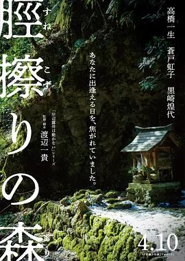 胫擦之森海报